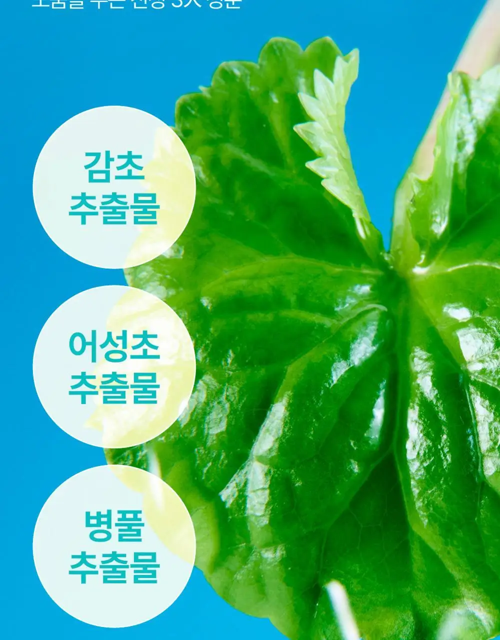 [수딩진정] 넘버즈인 1번 진정 맑게담은 청초토너 300ml 기획 (+1번 패드 10매 증정) 상세페이지 32